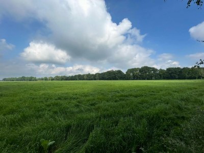 Holiday house Ferienhaus in Zelhem nahe Wald und Golf - Environment photo 37