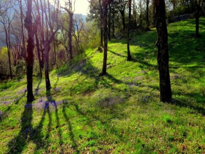 Holiday house Stilvolle Villa mit Pool - Environment photo 35