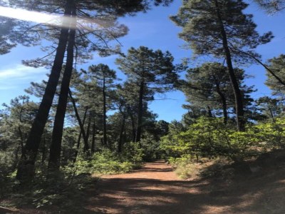 Holiday house Renoviertes Bauernhaus - Environment photo 26