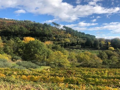 Holiday house Renoviertes Bauernhaus - Environment photo 27