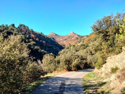 Holiday house Renoviertes Bauernhaus - Environment photo 28