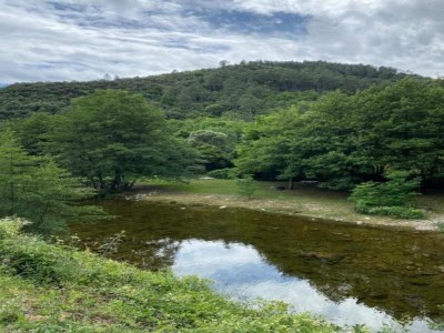 Holiday house Renoviertes Bauernhaus - Environment photo 33