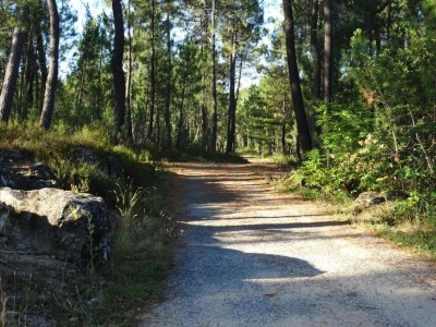 Holiday house Renoviertes Bauernhaus - Environment photo 37