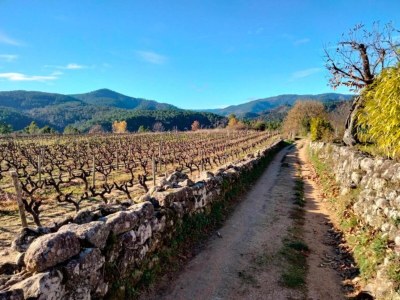 Holiday house Renoviertes Bauernhaus - Environment photo 38