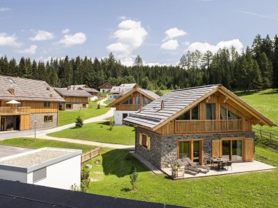 Chalet Nice chalet in Wölting with natural swimming pond - Outdoor photo 25