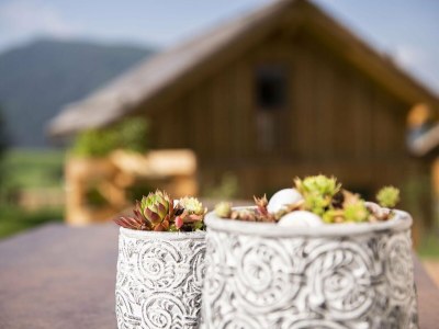 Chalet Geräumiges Chalet in Wölting mit Sauna - Outdoor photo 10