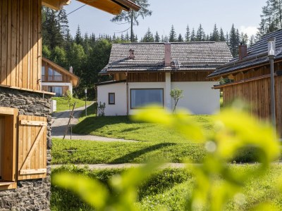 Chalet Geräumiges Chalet in Wölting mit Sauna - Outdoor photo 19