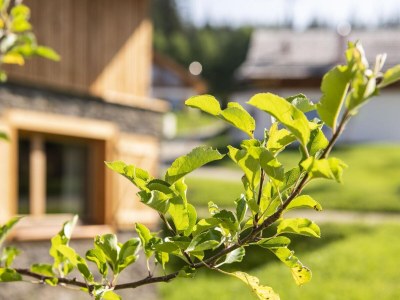 Chalet Geräumiges Chalet in Wölting mit Sauna - Outdoor photo 31