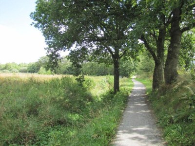 Holiday house Glamping in Friesland with friends - Environment photo 34