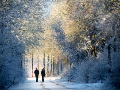 Holiday house Glamping in Friesland with friends - Environment photo 37