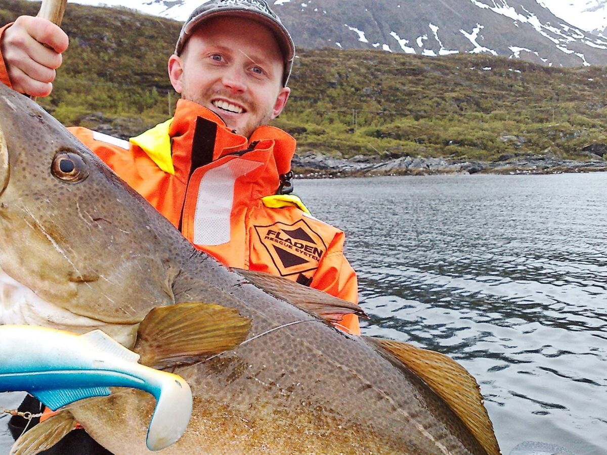 Holiday house 8 person holiday home in Arnøyhamn