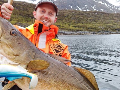 Holiday house 8 person holiday home in Arnøyhamn - Holiday house