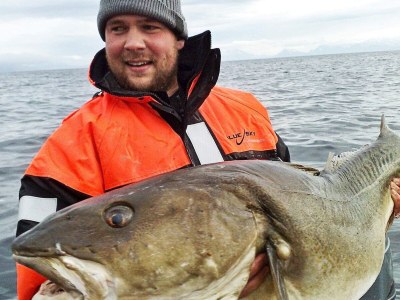 Holiday house 8 person holiday home in Arnøyhamn - Outdoor photo 8