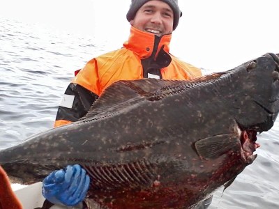 Holiday house 8 person holiday home in Arnøyhamn - Outdoor photo 19