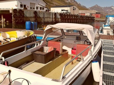 Holiday house 8 person holiday home in Arnøyhamn - Outdoor photo 21