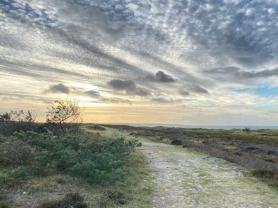 Holiday house 6 Personen Ferienhaus in Læsø-By Traum - Outdoor photo 23
