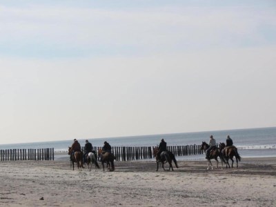 Holiday house Ferienhaus in Renesse nahe Strand - Environment photo 27