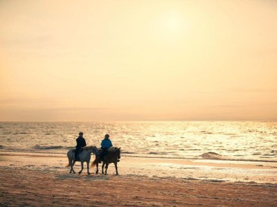 Holiday house Ferienhaus in Renesse nahe Strand - Environment photo 29