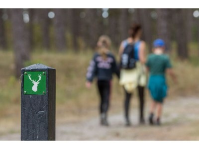 Holiday house Ferienhaus in Renesse nahe Strand - Outdoor photo 36
