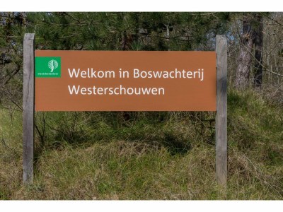 Holiday house Ferienhaus in Renesse nahe Strand - Outdoor photo 38