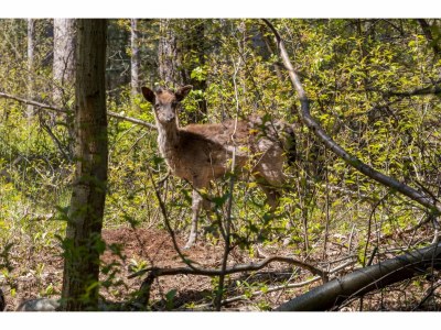 Holiday house Ferienhaus in Renesse nahe Strand - Outdoor photo 39