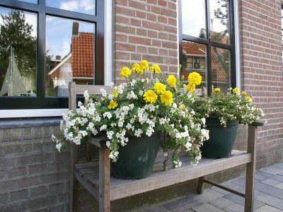 Holiday house Seaside Escape with Comfort - Outdoor photo 38