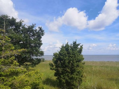 Holiday house 4 person holiday home in Glesborg - Outdoor photo 39