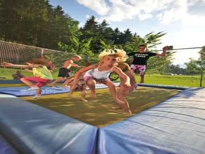 caravan Chalet in Tyrol near Ski Slopes - Environment photo 10