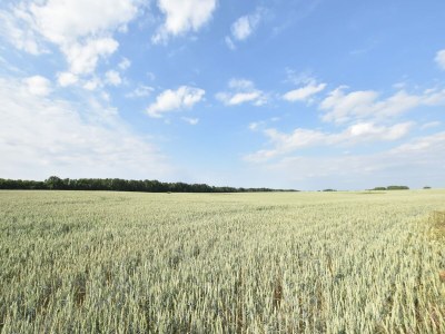 Apartment Wohnung in Dargun mit Pool und Streichelzoo - Outdoor photo 5
