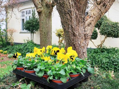 Holiday house 6 Personen Ferienhaus in Søby Ærø-By Traum - Outdoor photo 21