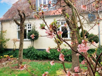 Holiday house 6 Personen Ferienhaus in Søby Ærø-By Traum - Outdoor photo 36