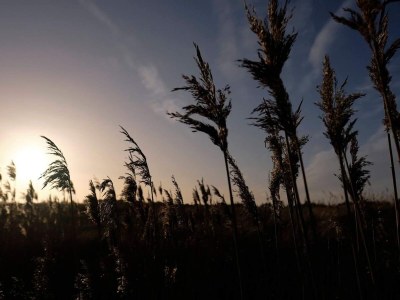 Holiday house 8 person holiday home in Hals-By Traum - Outdoor photo 18