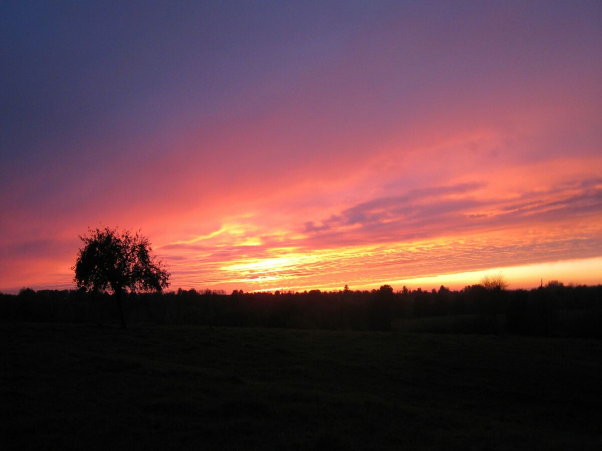 Holiday house Holiday Home in Ceaucé near Mont Saint Michel - Outdoor photo 4