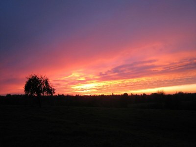 Holiday house Holiday Home in Ceaucé near Mont Saint Michel - Outdoor photo 4
