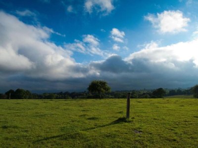 Holiday house Holiday Home in Ceaucé near Mont Saint Michel - Environment photo 17