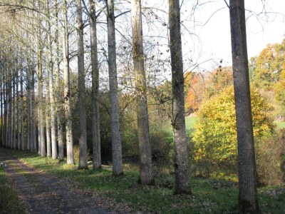Holiday house Holiday Home in Ceaucé near Mont Saint Michel - Environment photo 24