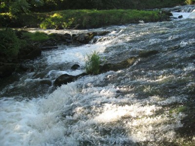 Holiday house Holiday Home in Ceaucé near Mont Saint Michel - Environment photo 29