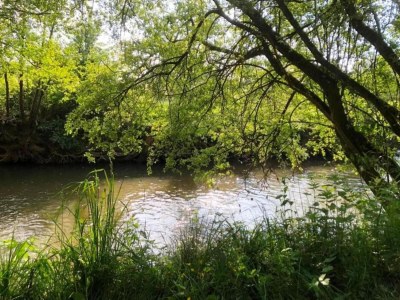 Holiday house Holiday Home in Ceaucé near Mont Saint Michel - Environment photo 32