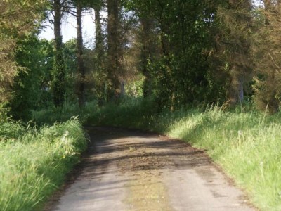 Holiday house Holiday Home in Ceaucé near Mont Saint Michel - Environment photo 34
