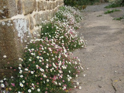 Holiday house Holiday Home in Ceaucé near Mont Saint Michel - Outdoor photo 37