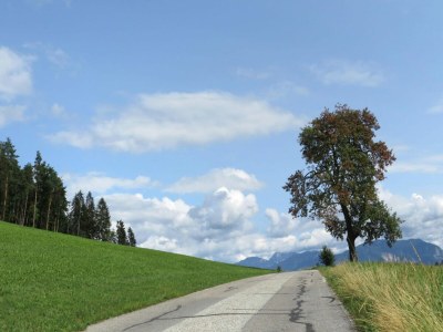 Apartment Apartment in Köttmannsdorf near Wörthersee - Environment photo 27