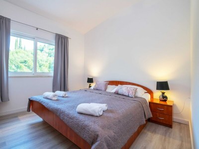 Apartment Apartments Azzurro- One Bedroom Apartment with Terrace and Hot Tub - Features photo 6