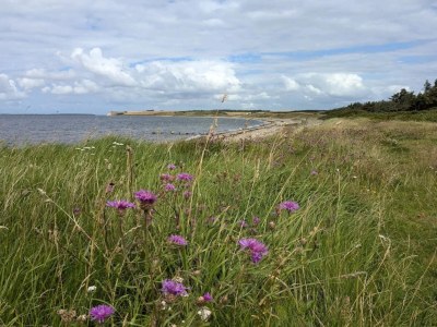 Holiday house Cosy holiday home near Limfjorden - Outdoor photo 27