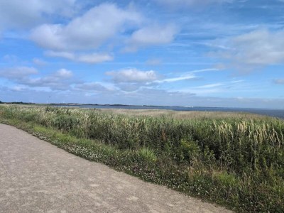 Holiday house 4 person holiday home in Ringkøbing-By Traum - Outdoor photo 9
