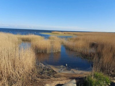 Holiday house 4 person holiday home in Ringkøbing-By Traum - Outdoor photo 12