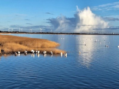 Holiday house 4 person holiday home in Ringkøbing-By Traum - Outdoor photo 18