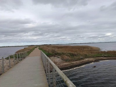 Holiday house 4 person holiday home in Ringkøbing-By Traum - Outdoor photo 21