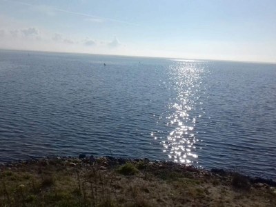 Holiday house 4 person holiday home in Ringkøbing-By Traum - Outdoor photo 22