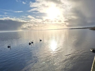 Holiday house 4 person holiday home in Ringkøbing-By Traum - Outdoor photo 41