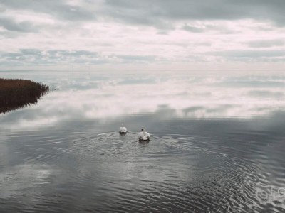 Holiday house 4 person holiday home in Ringkøbing-By Traum - Outdoor photo 51